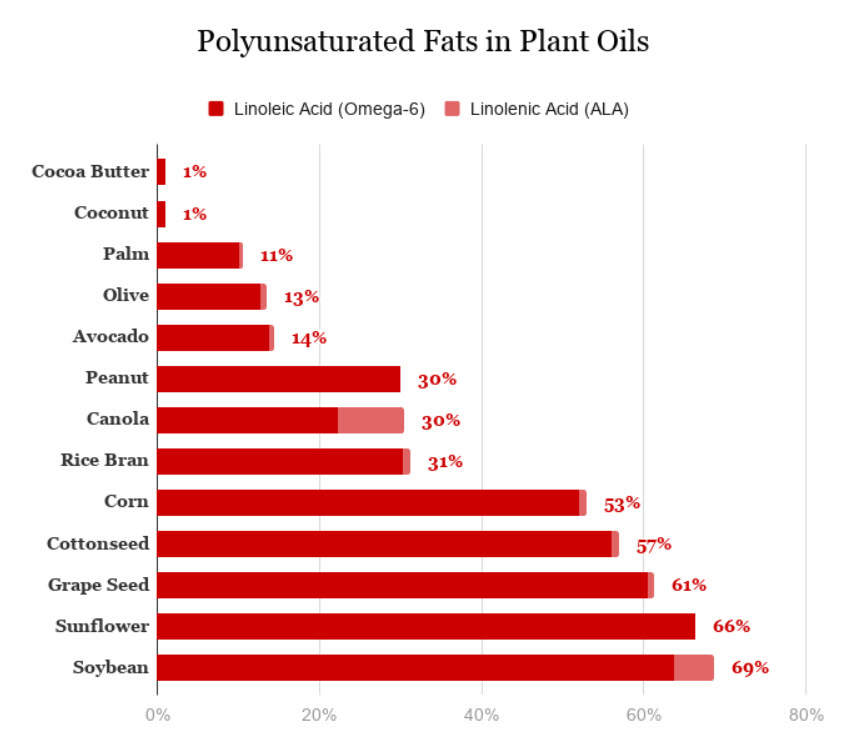 8 Toxic Seed Oils-- What to Know 2